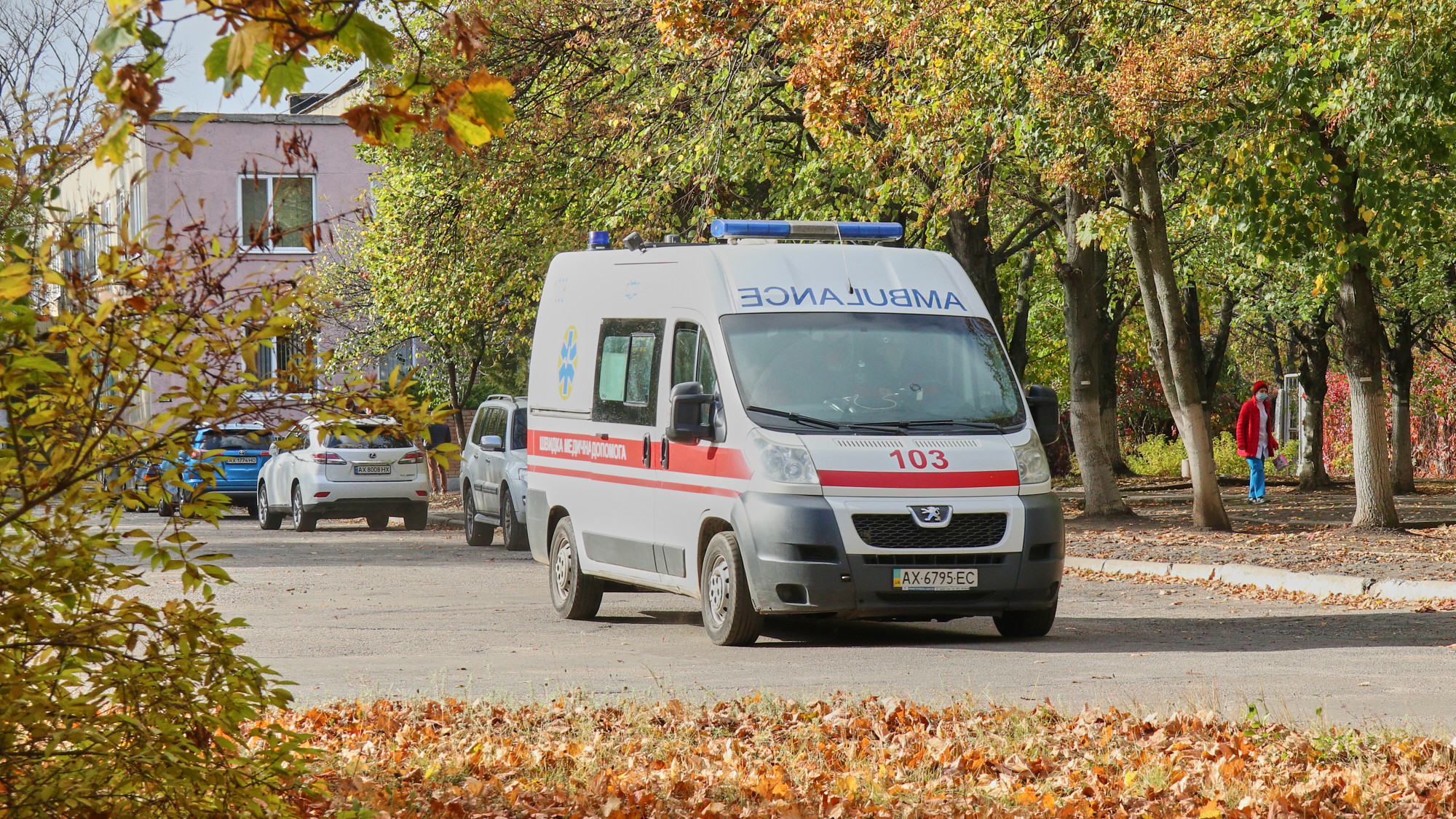 Повалене вітром дерево заблокувало "швидку" в Харківській області
