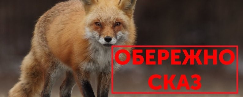 Які тварини найчастіше хворіють на сказ у Харківській області