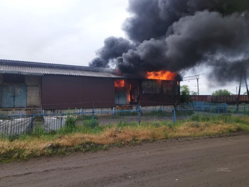 барвінкове