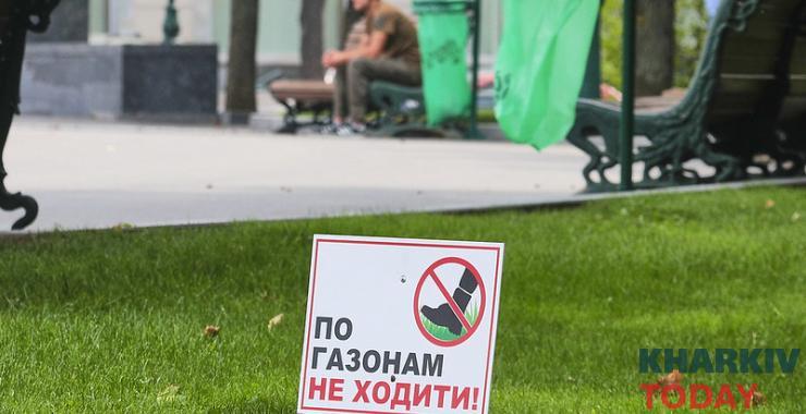 газон