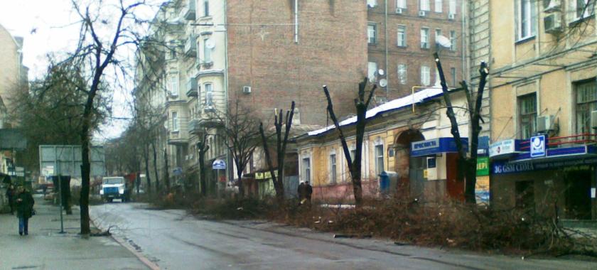 дерева