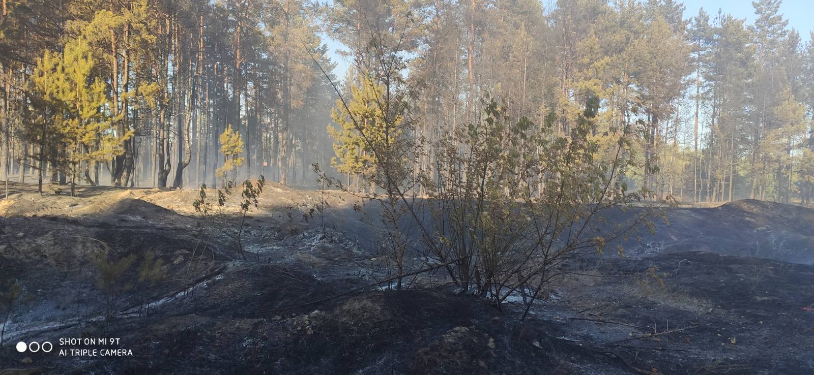 Фото: ГСЧС в Харьковской области