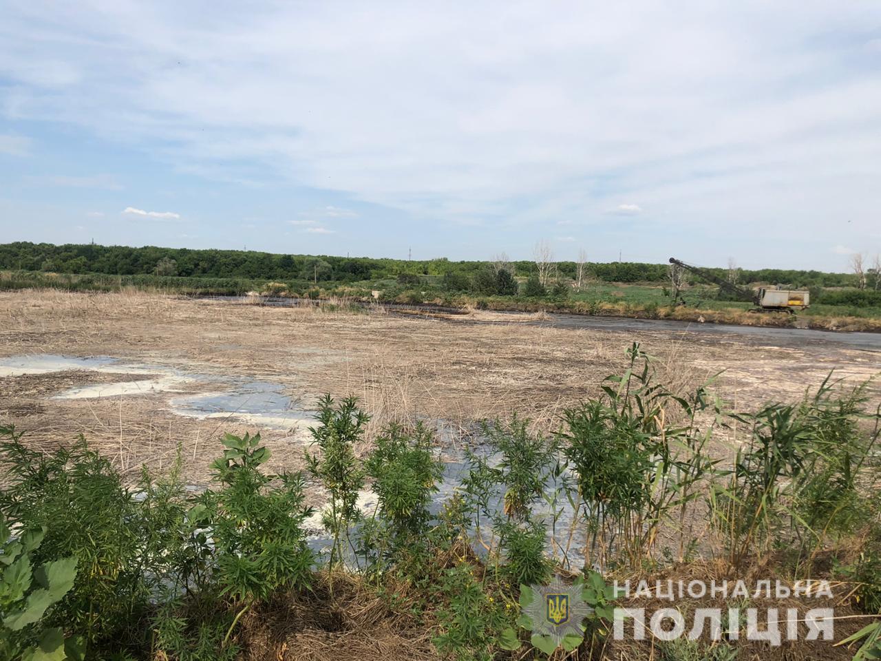 Фото: Нацполиция в Харьковской области