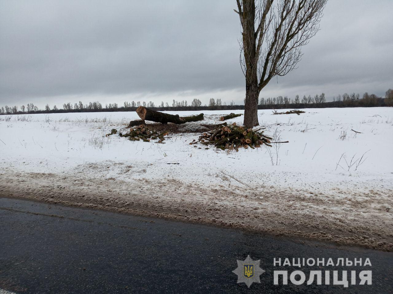 Фото: Нацполиция