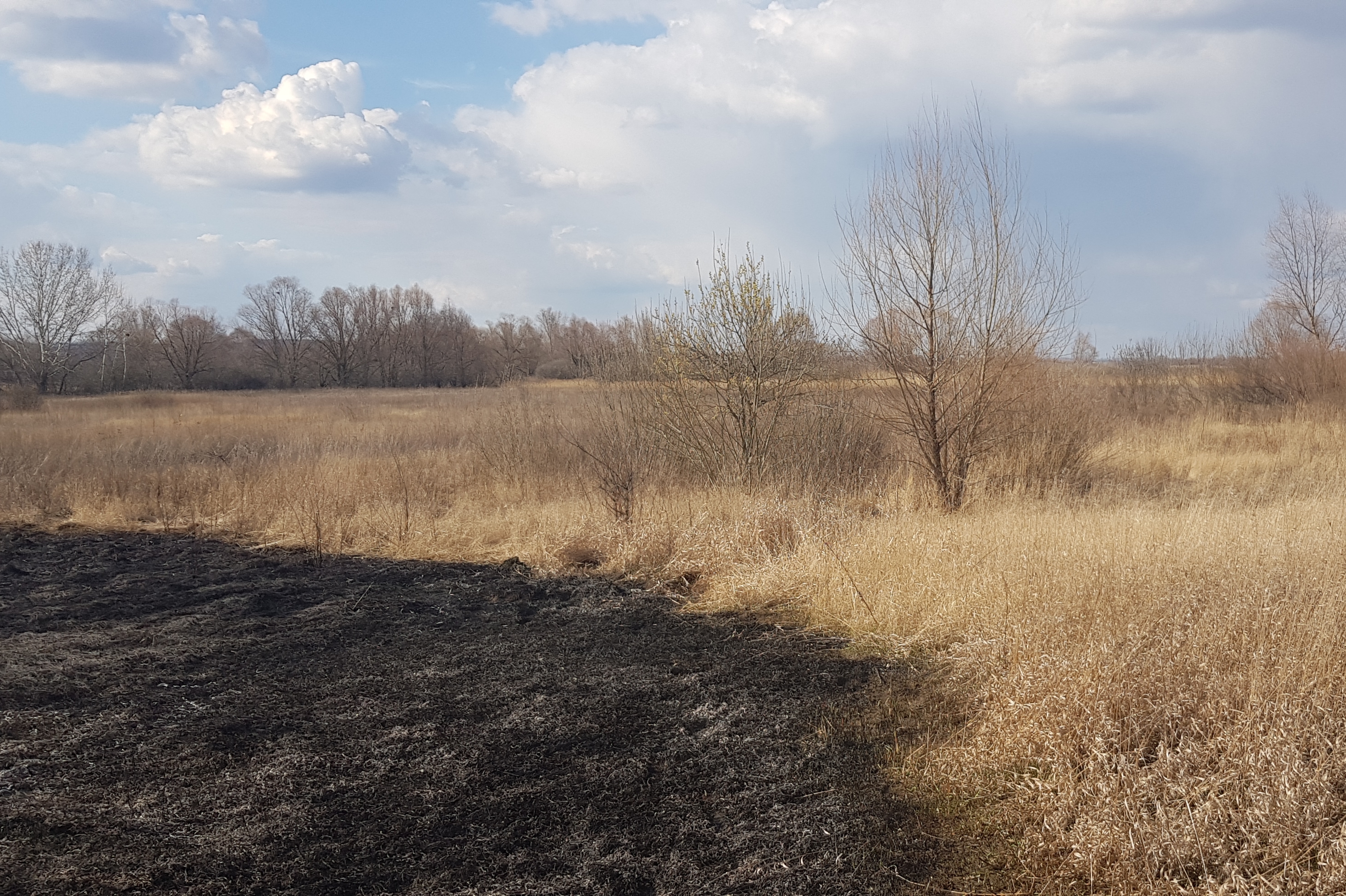 Фото: ГСЧС в Харьковской области