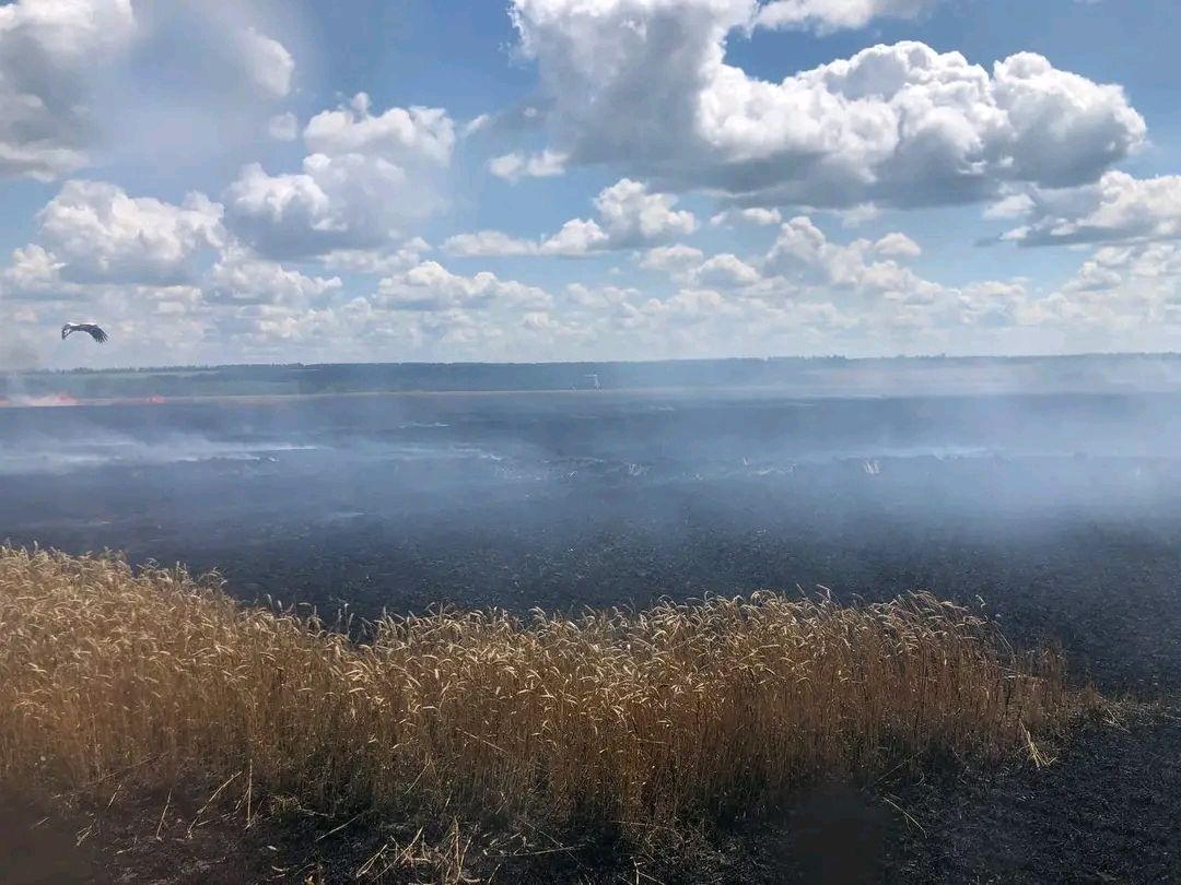 Фото: ДСНС у Харківській області