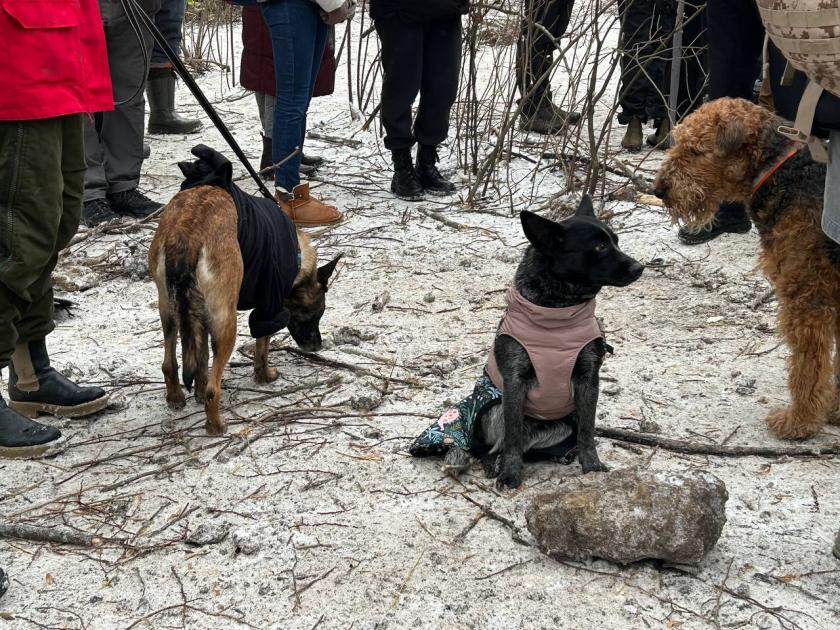 Порно видео Заебал жену. Смотреть Заебал жену онлайн