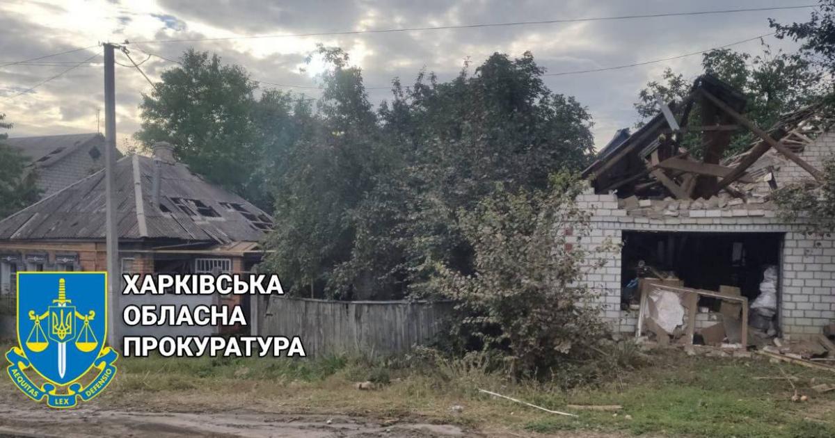 Вторая жизнь Фай Родис. Адаптация [Олег Анатольевич Волынец] (fb2) читать онлайн