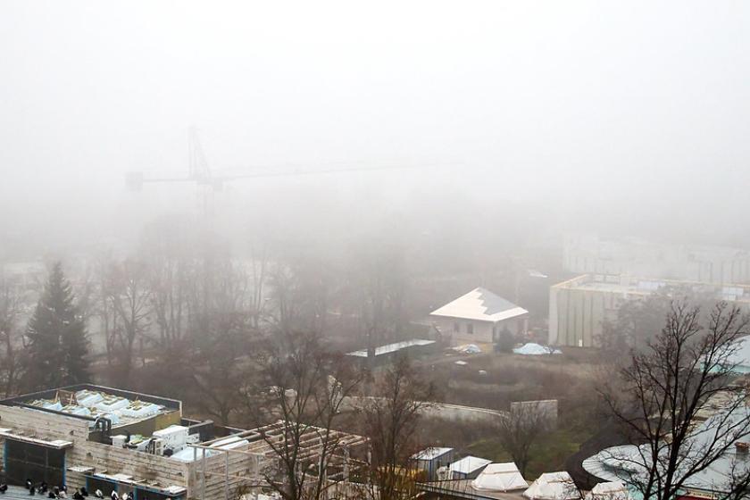 Харьковский зоопарк. Фото: Сергей Козлов / KHARKIV Today