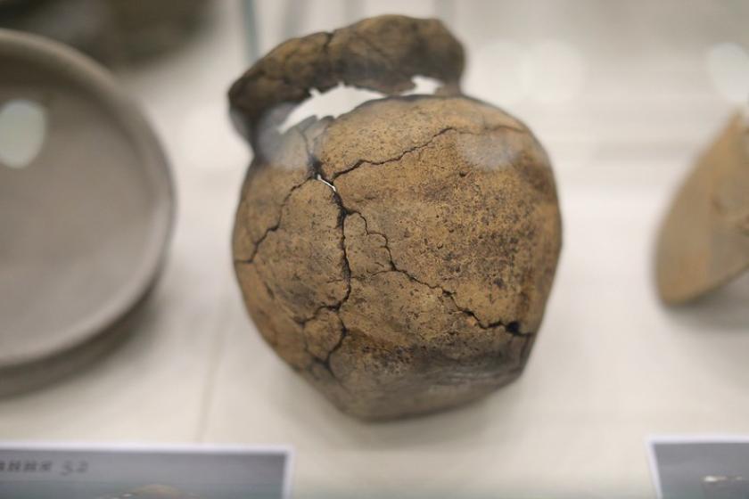 В ХНУ им. В. Н. Каразина открылась выставка "Итоги полевых археологических исследований 2019 года". Фото: KHARKIV Today/Сергей Козлов 