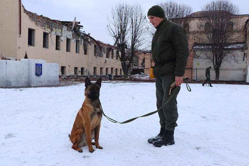 службові собаки 1