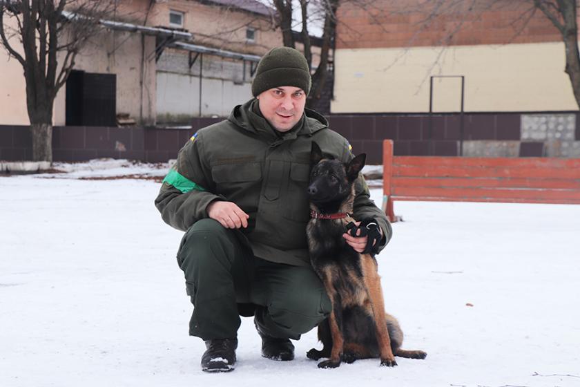 службові собаки 1