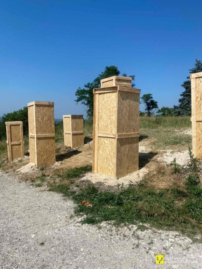 половецькі баби консервація 1