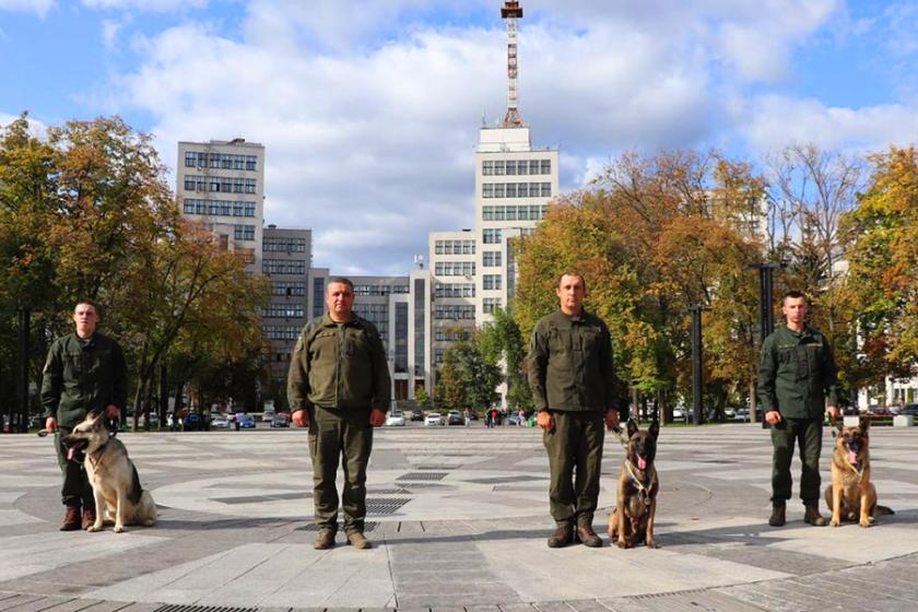 службові собаки, НГУ 1