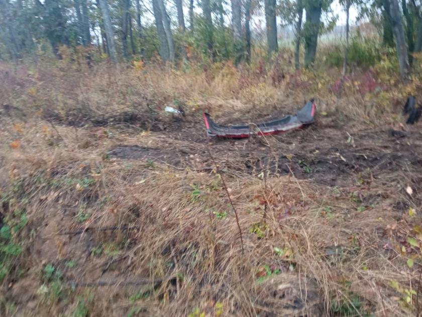 ДТП, загинула дитина 1