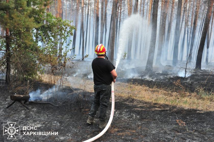 На Харківщині гасять масштабну лісову пожежу: вогнем охоплено понад 700 гектарів