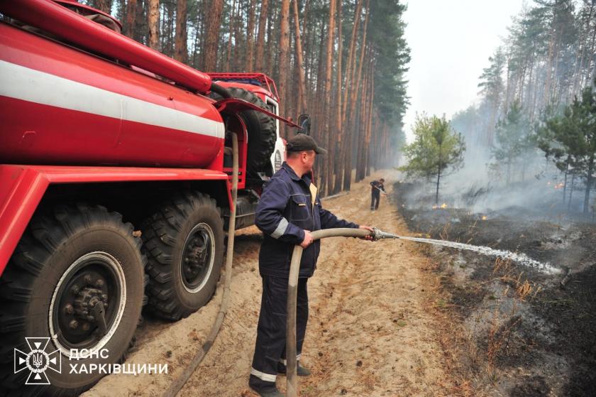 На Харківщині гасять масштабну лісову пожежу: вогнем охоплено понад 700 гектарів