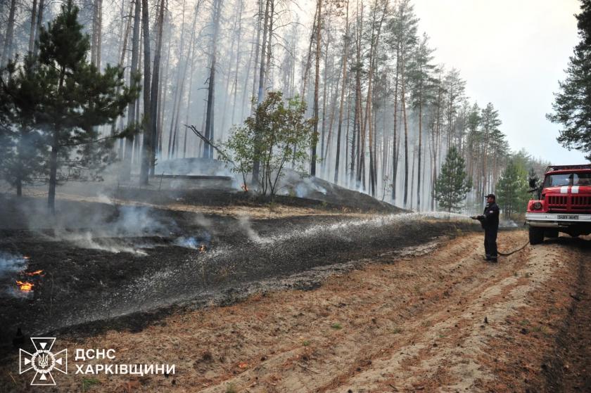 На Харківщині гасять масштабну лісову пожежу: вогнем охоплено понад 700 гектарів