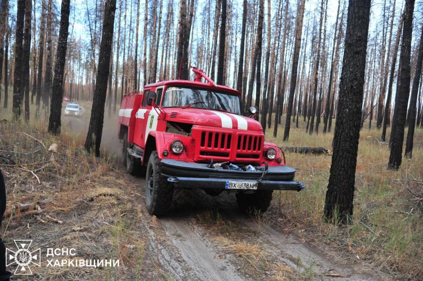 На Харківщині гасять масштабну лісову пожежу: вогнем охоплено понад 700 гектарів