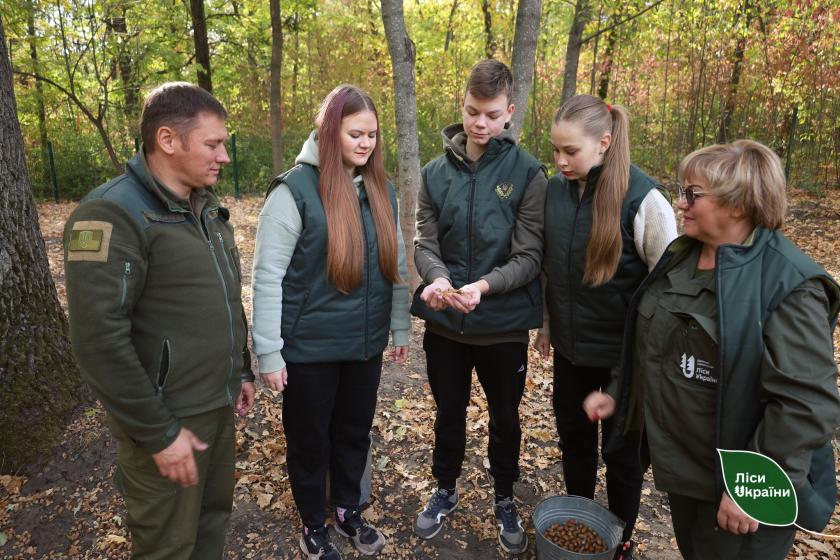 На Харківщині висадять пів мільйона дубів