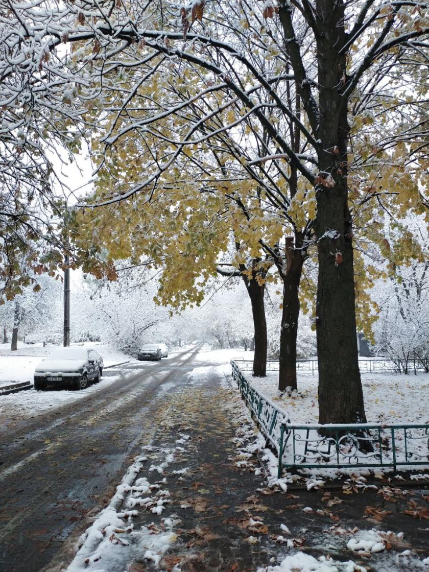 перший сніг у Харкові