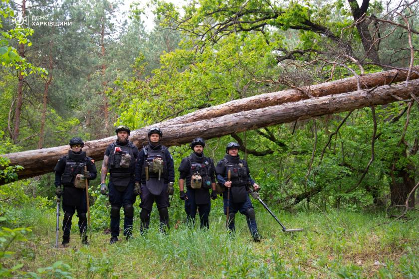 Сапери очищують ліс на Харківщині від російських мін