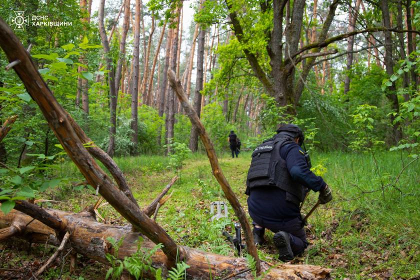 Сапери очищують ліс на Харківщині від російських мін