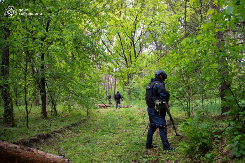 Сапери очищують ліс на Харківщині від російських мін