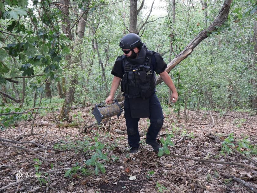 Піротехніки знешкодили вибухівку у лісі на Харківщині