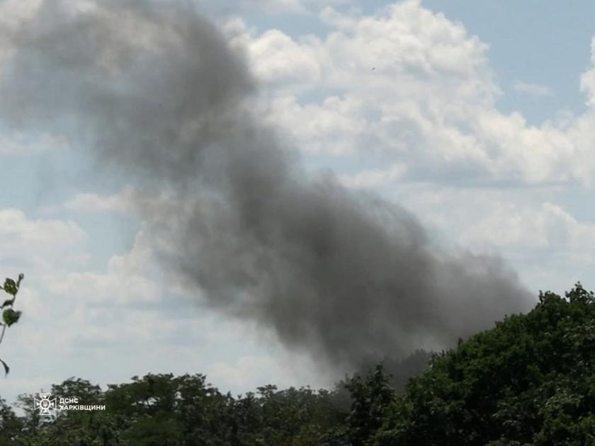 Піротехніки знешкодили вибухівку у лісі на Харківщині
