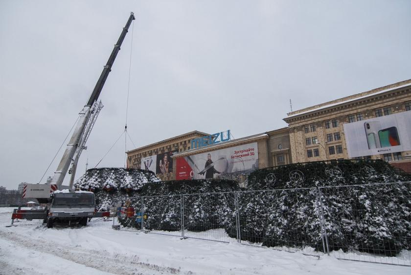 елка Харьков