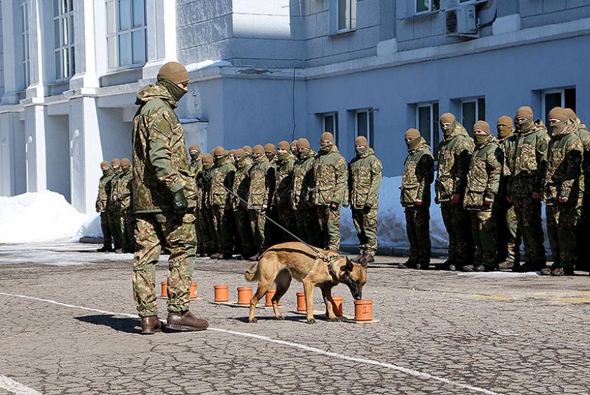 Четырелапых Нацгвардейцев наградили медалями. Фото: пресс-служба Нацгвардии