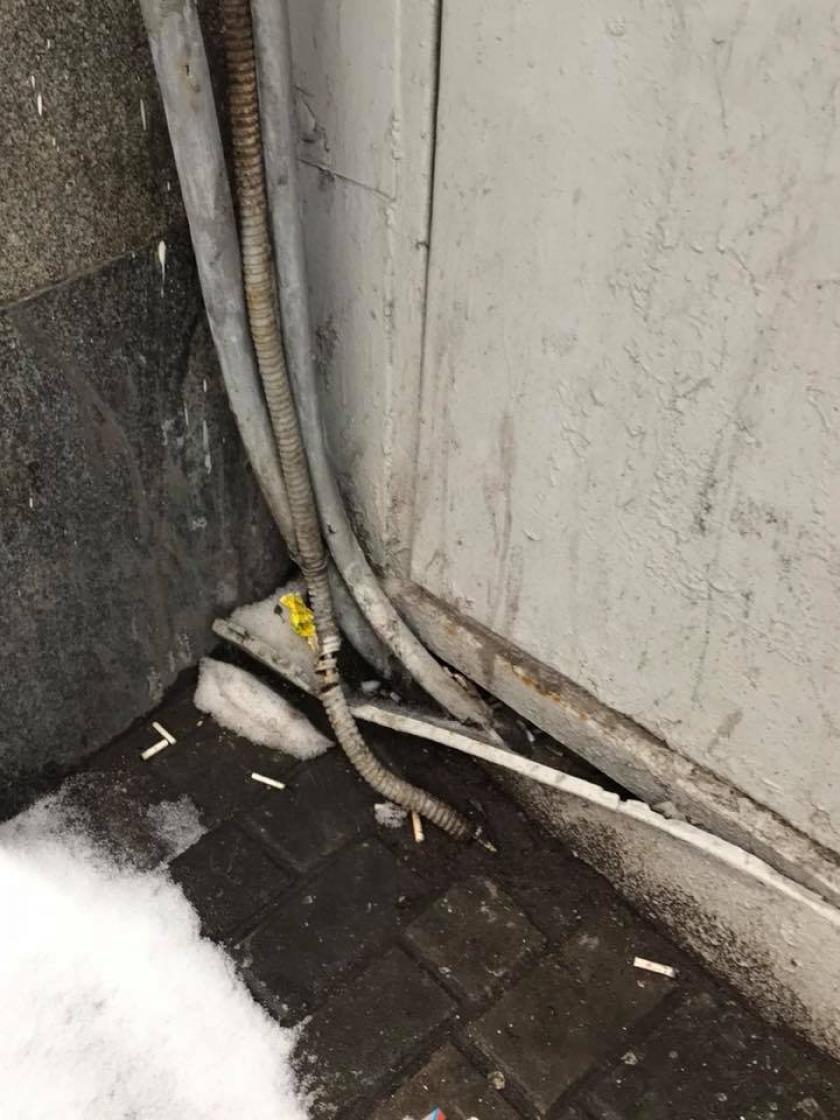 Фото: facebook.com/ana.masalova