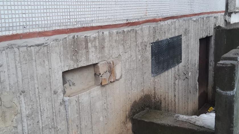 Жители Киевского района просят не замуровывать котов в подвалах. Фото: KHARKIV Today