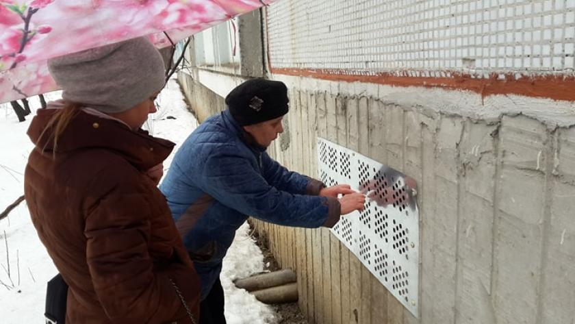 Жители Киевского района просят не замуровывать котов в подвалах. Фото: KHARKIV Today