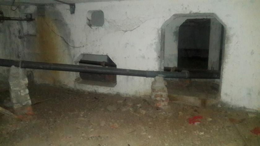 Жители Киевского района просят не замуровывать котов в подвалах. Фото: KHARKIV Today