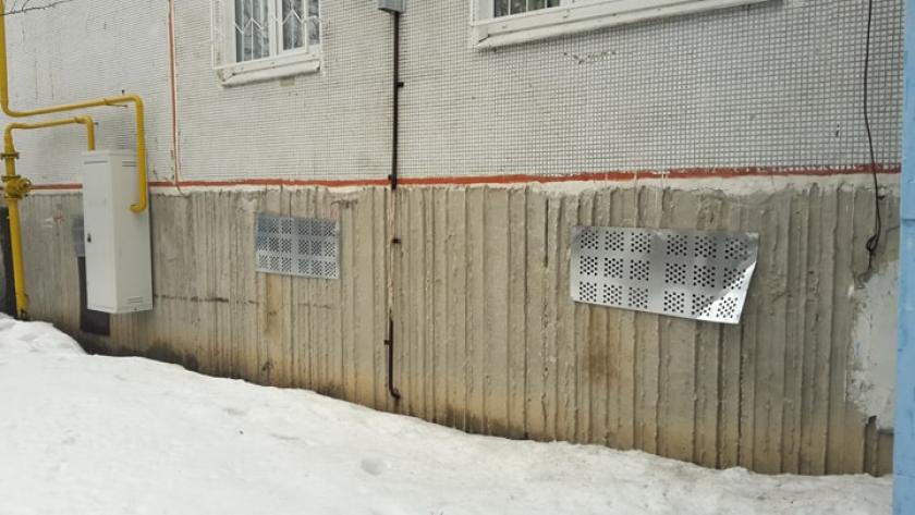 Жители Киевского района просят не замуровывать котов в подвалах. Фото: KHARKIV Today