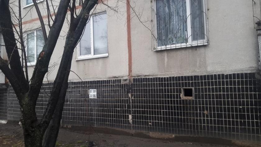 Жители Киевского района просят не замуровывать котов в подвалах. Фото: KHARKIV Today