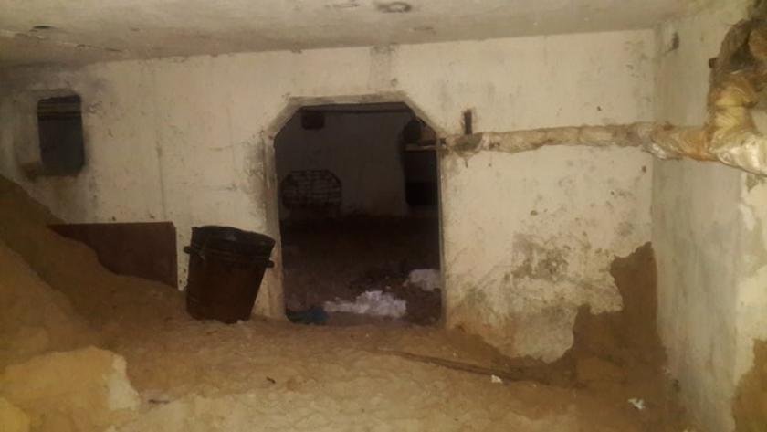 Жители Киевского района просят не замуровывать котов в подвалах. Фото: KHARKIV Today