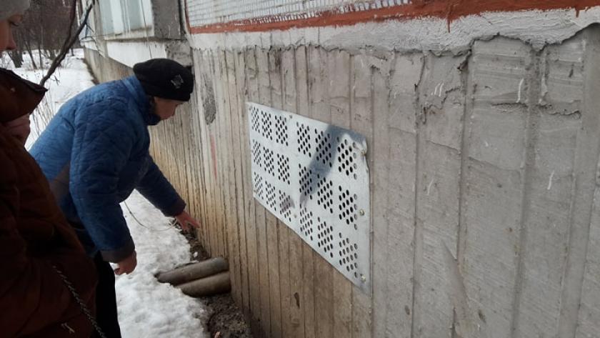 Жители Киевского района просят не замуровывать котов в подвалах. Фото: KHARKIV Today