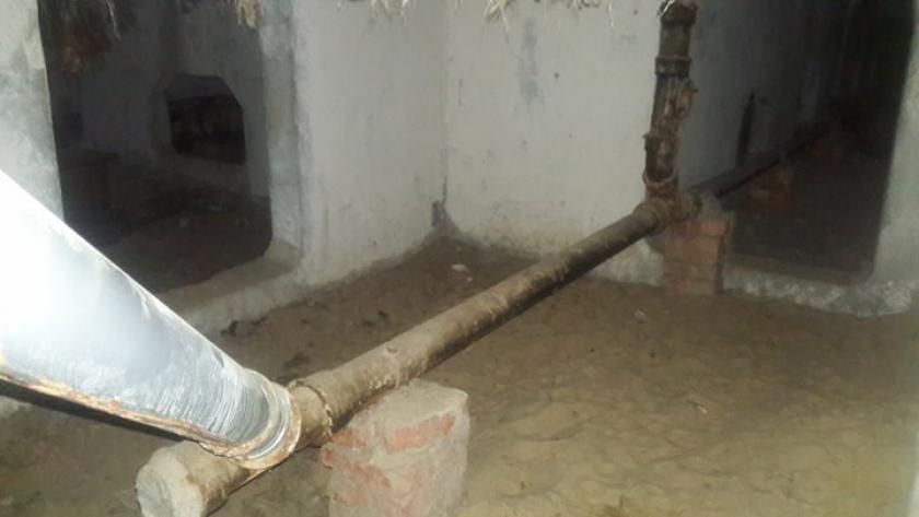 Жители Киевского района просят не замуровывать котов в подвалах. Фото: KHARKIV Today