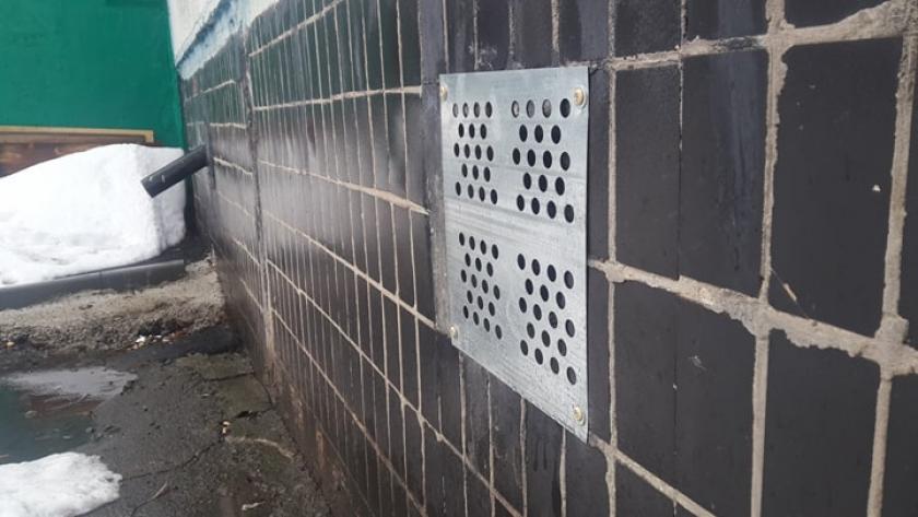 Жители Киевского района просят не замуровывать котов в подвалах. Фото: KHARKIV Today