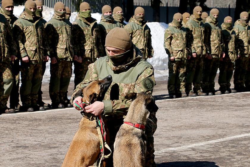 Четырелапых Нацгвардейцев наградили медалями. Фото: пресс-служба Нацгвардии