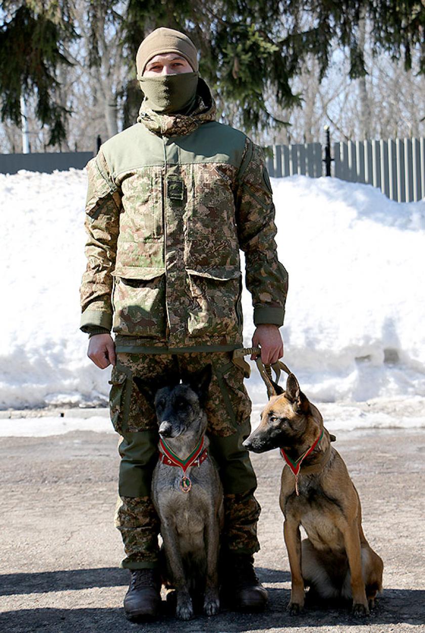 Четырелапых Нацгвардейцев наградили медалями. Фото: пресс-служба Нацгвардии
