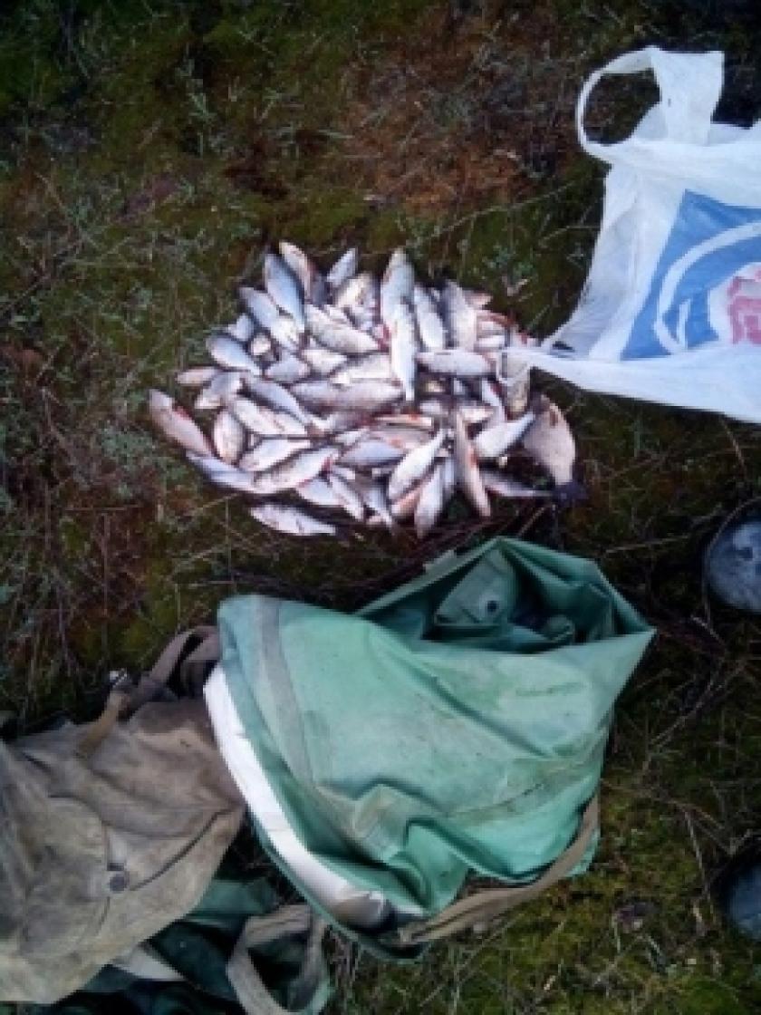 Харьковские рыбаки наловили рыбы около 150 тысяч гривен. Фото: darg.gov.ua