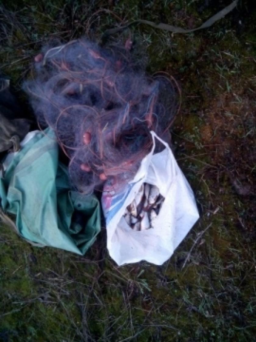 Харьковские рыбаки наловили рыбы около 150 тысяч гривен. Фото: darg.gov.ua