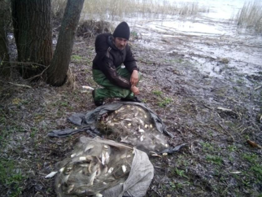 Харьковские рыбаки наловили рыбы около 150 тысяч гривен. Фото: darg.gov.ua