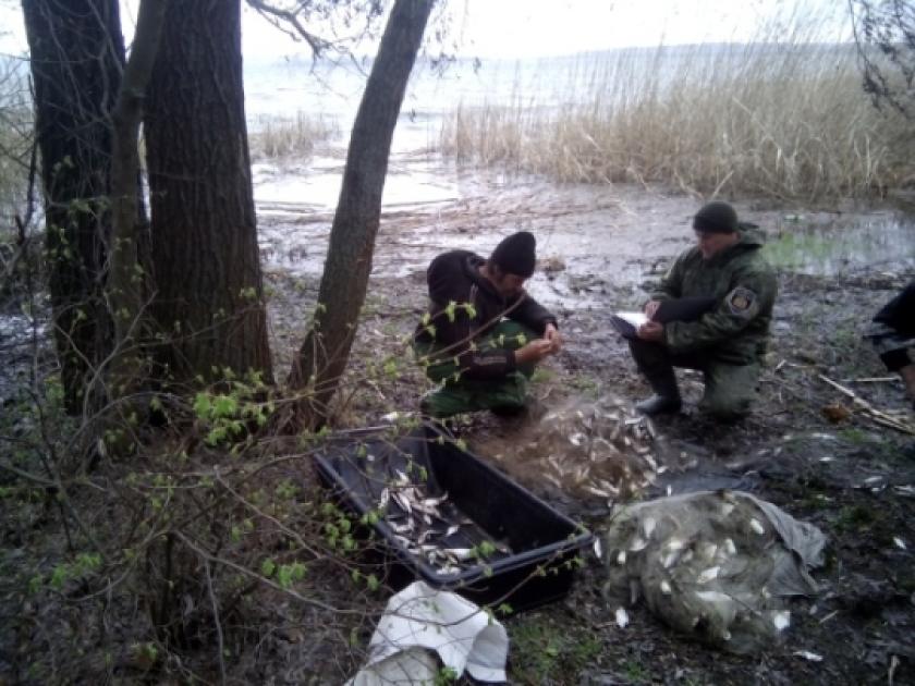 Харьковские рыбаки наловили рыбы около 150 тысяч гривен. Фото: darg.gov.ua