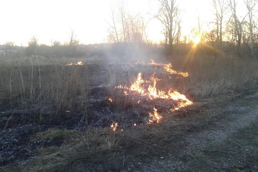 Спасатели тушили пожары в Харьковской области. Фото: ГСЧС