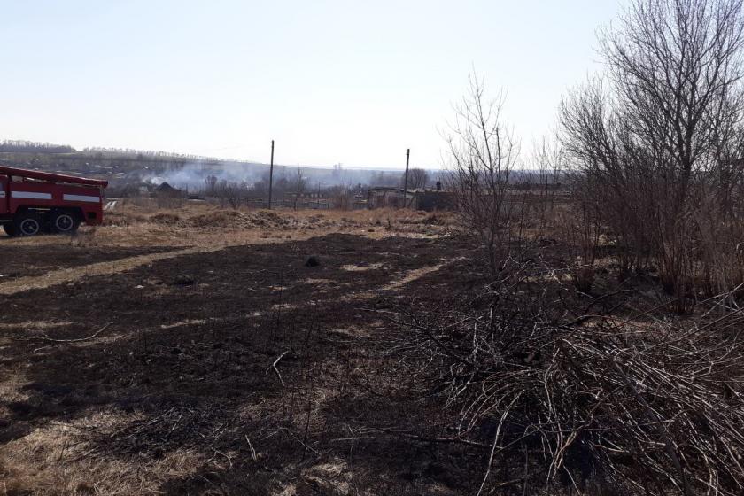 Спасатели тушили пожары в Харьковской области. Фото: ГСЧС